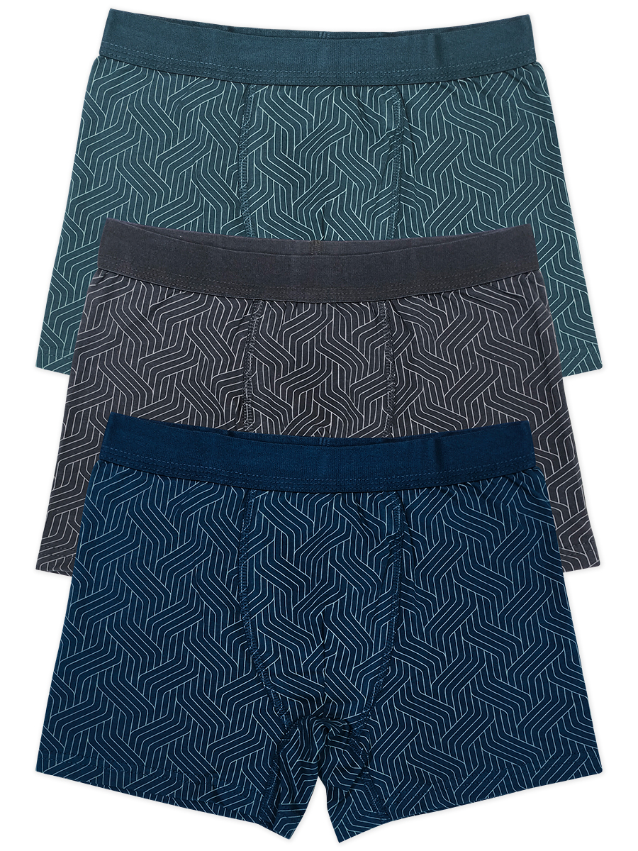 3964 Боксеры для мальчиков многоцвет (BAYKAR)