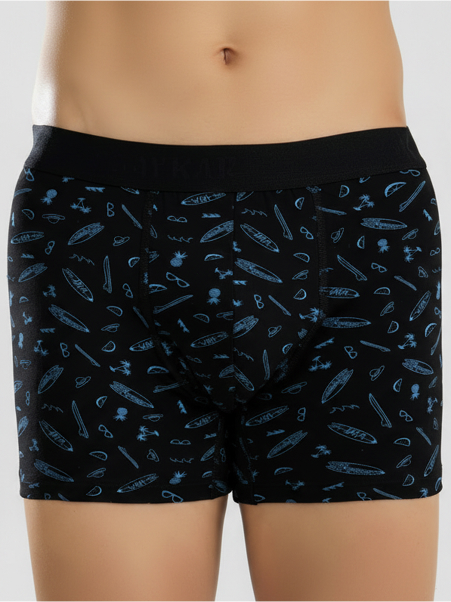 1452-02 Боксеры мужские (BAYKAR)