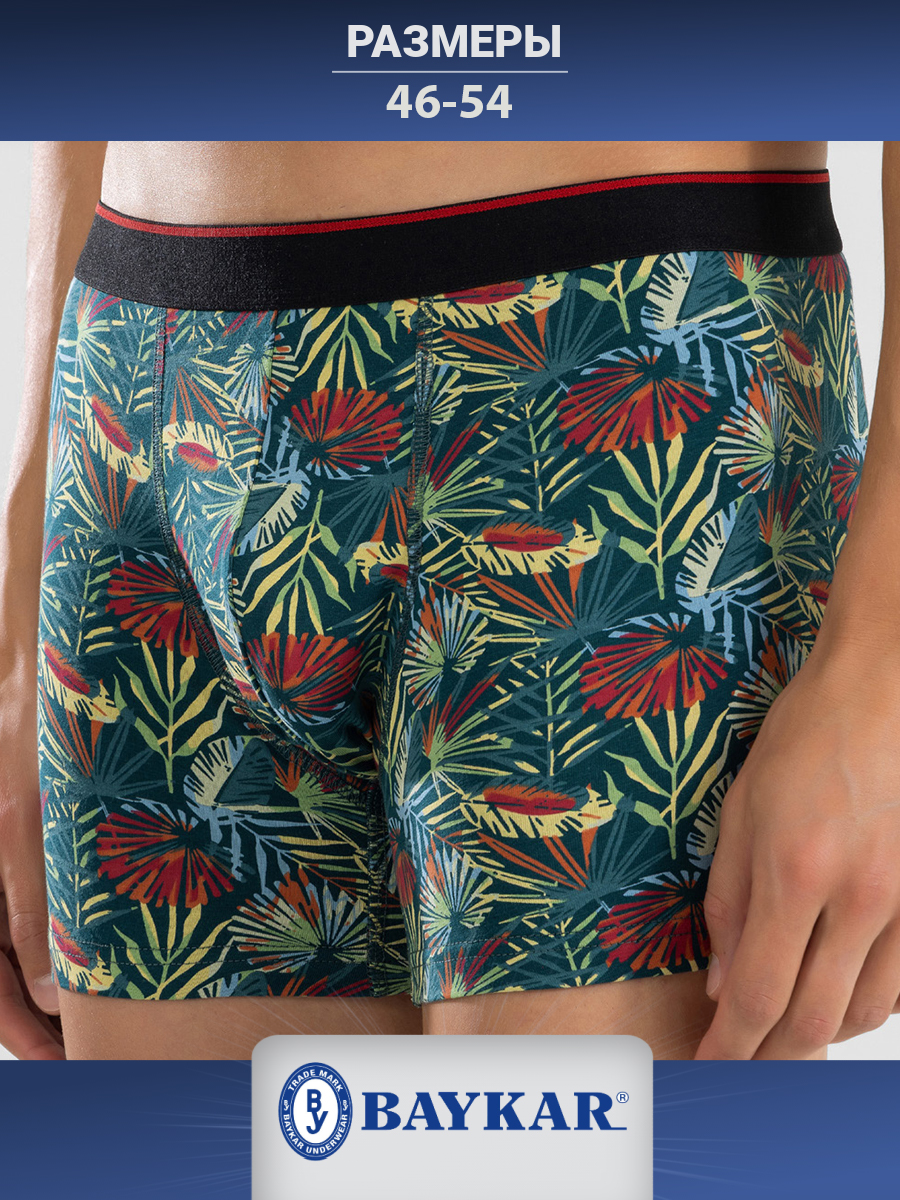 1414-382 Боксеры мужские (BAYKAR)