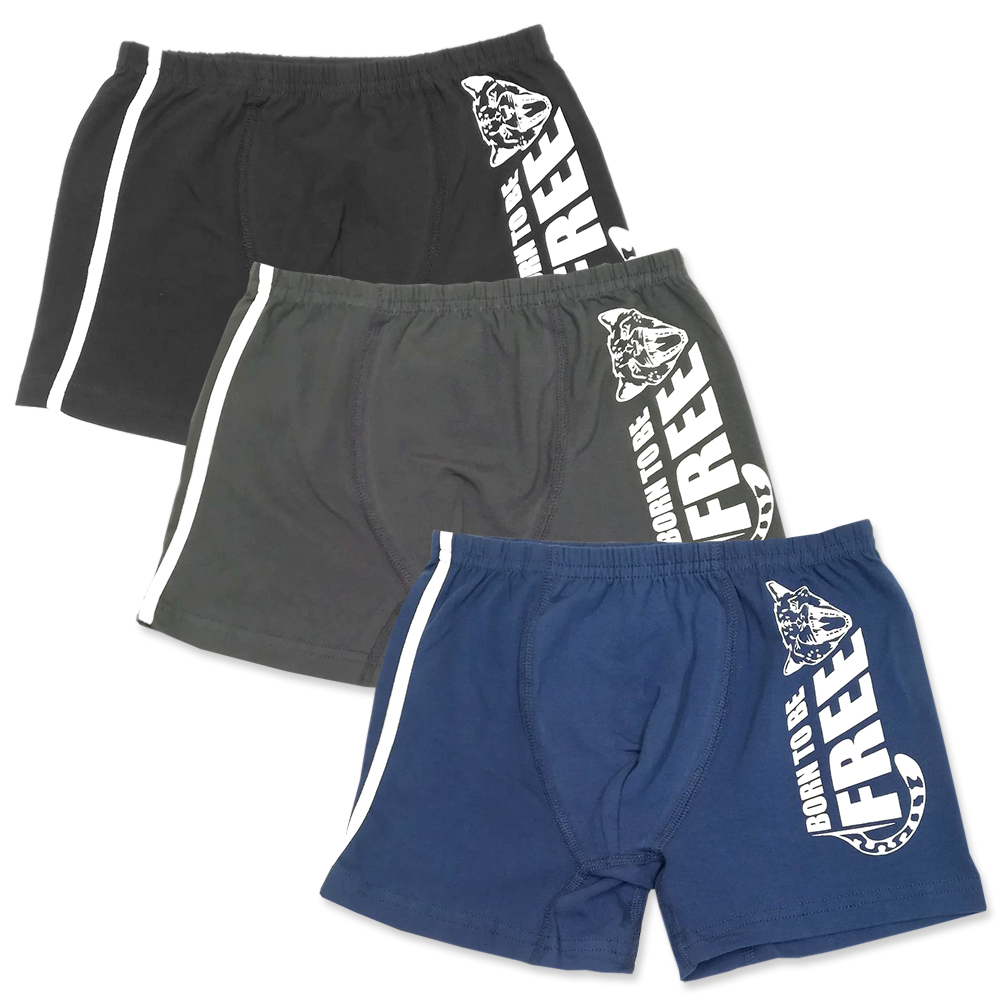 3970 Боксеры для мальчиков многоцвет (BAYKAR)