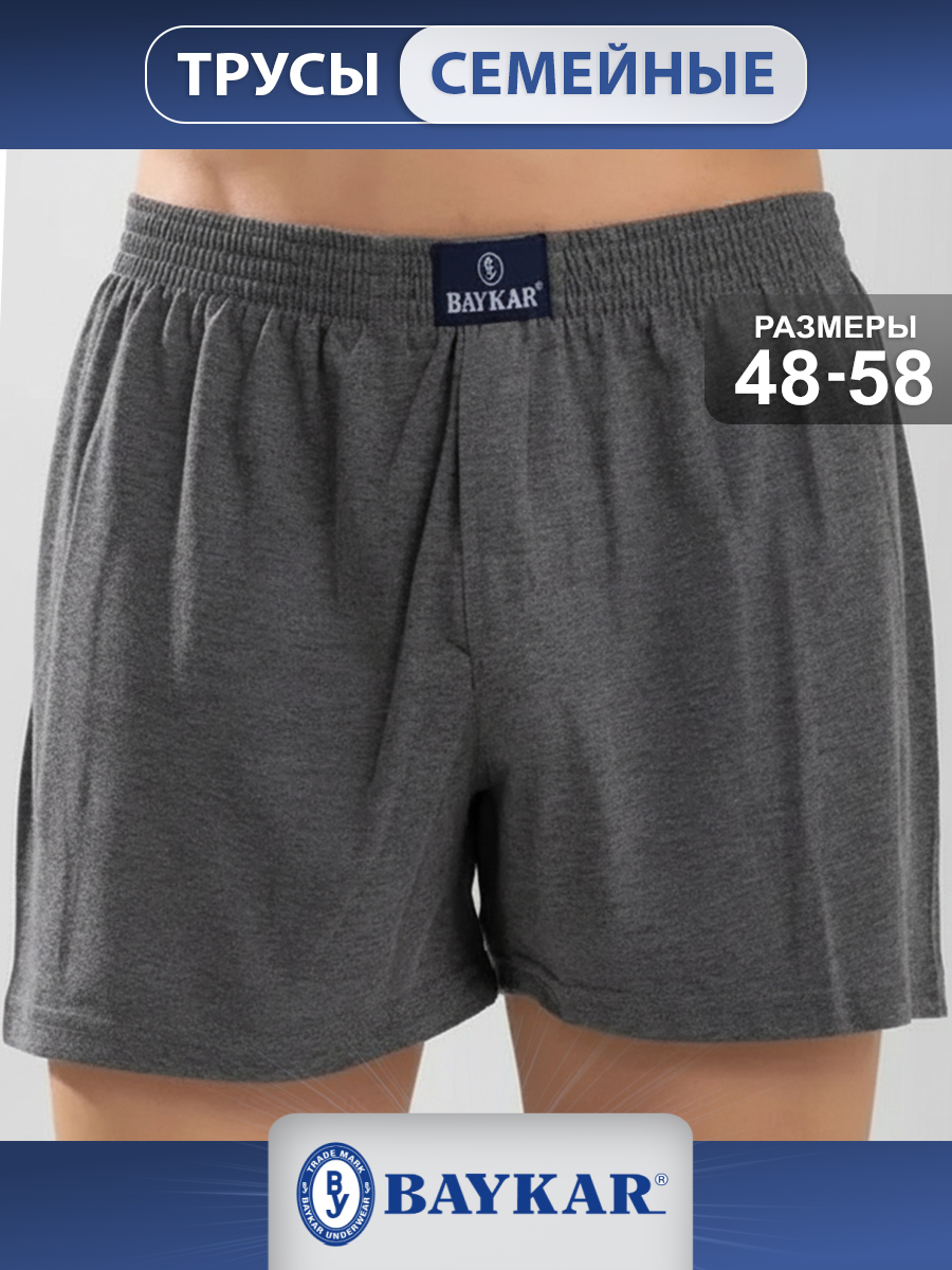 1119-22 Трусы семейные мужские (BAYKAR)