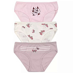 5340 Трусы для девочек многоцвет (BAYKAR)