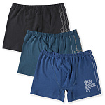 3966 Боксеры для мальчиков многоцвет (BAYKAR)