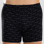 1450-02 Боксеры мужские (BAYKAR)