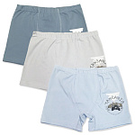 3664 Боксеры для мальчиков многоцвет (BAYKAR)