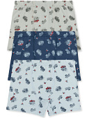 3574 Боксеры для мальчика многоцвет (BAYKAR)