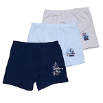 3332 Боксеры для мальчиков многоцвет (BAYKAR)