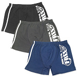 3970 Боксеры для мальчиков многоцвет (BAYKAR)