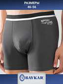 1248-123 Боксеры мужские (BAYKAR)